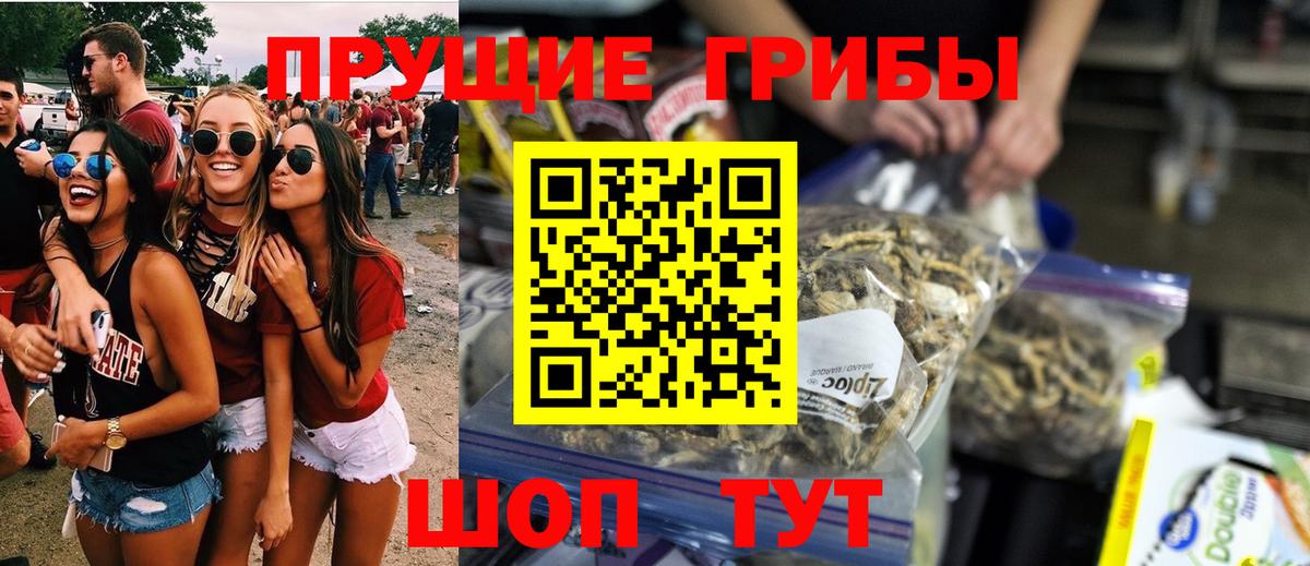 Псилоцибиновые грибы мицелий  где можно купить   Александров  Вход с VPN 