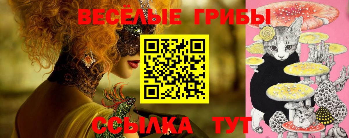 Псилоцибиновые грибы Magic Shrooms Александров
